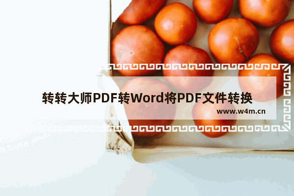 转转大师PDF转Word将PDF文件转换成Word文件的方法