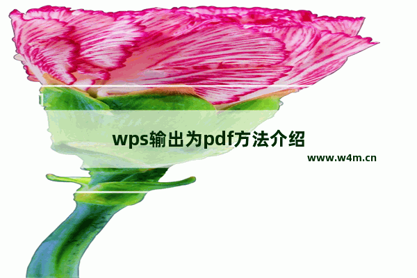 wps输出为pdf方法介绍