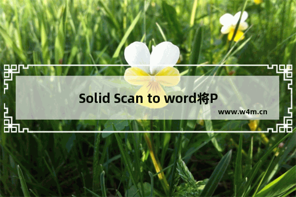 Solid Scan to word将PDF转换成Word文件的方法