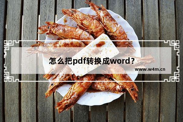 怎么把pdf转换成word？