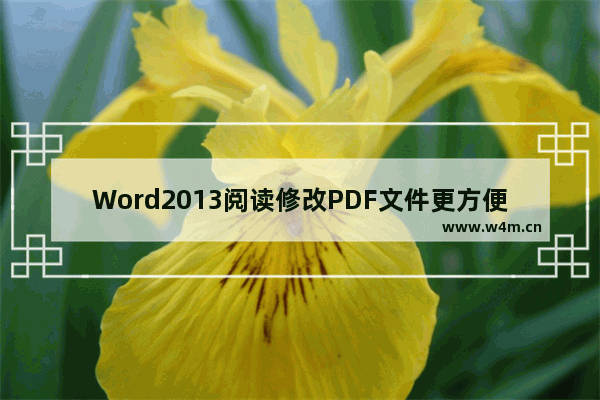 Word2013阅读修改PDF文件更方便