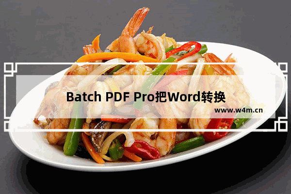 Batch PDF Pro把Word转换成PDF的方法