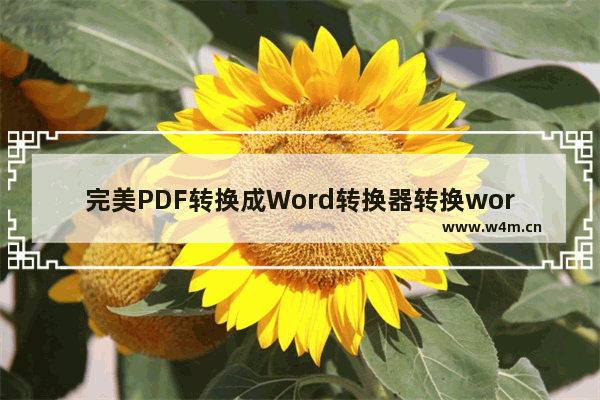 完美PDF转换成Word转换器转换word文件的方法