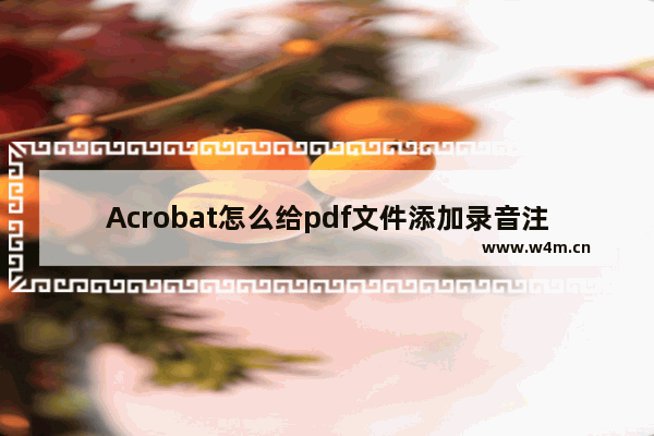 Acrobat怎么给pdf文件添加录音注释? Acrobat添加录音注释的技巧