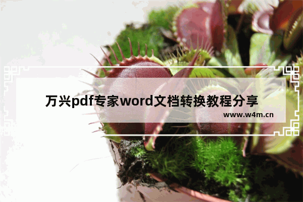 万兴pdf专家word文档转换教程分享