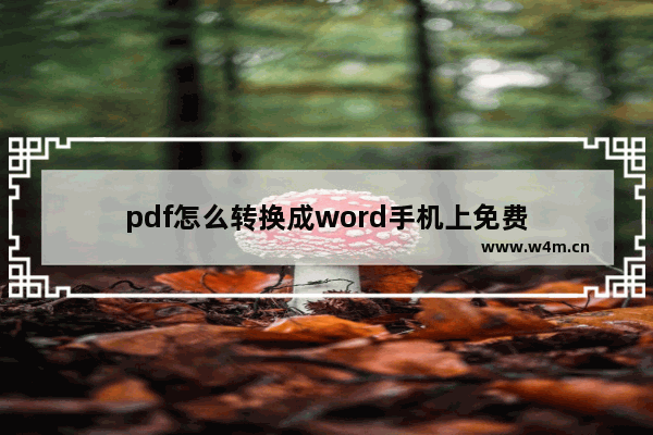 pdf怎么转换成word手机上免费