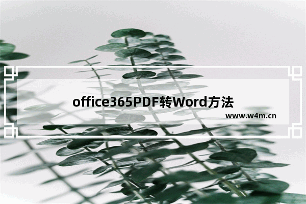 office365PDF转Word方法