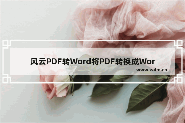 风云PDF转Word将PDF转换成Word的方法