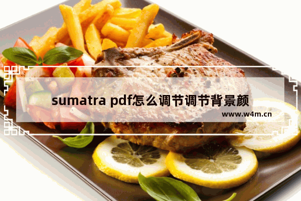 sumatra pdf怎么调节调节背景颜色和字体(含快捷键)