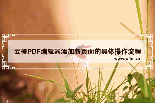 云橙PDF编辑器添加新页面的具体操作流程