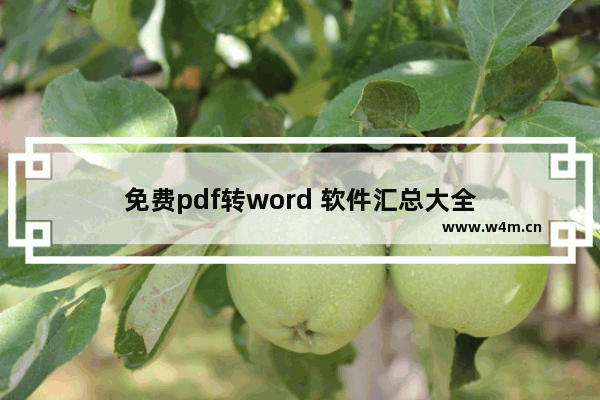 免费pdf转word 软件汇总大全