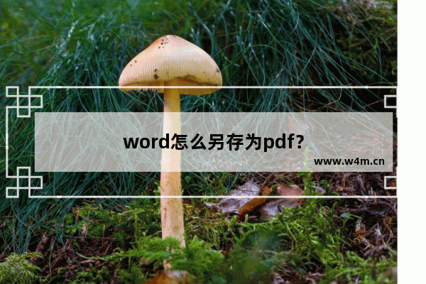 word怎么另存为pdf？