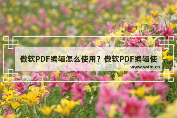 傲软PDF编辑怎么使用？傲软PDF编辑使用图文教程