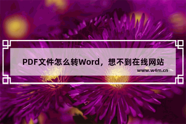 PDF文件怎么转Word，想不到在线网站就可以搞定了