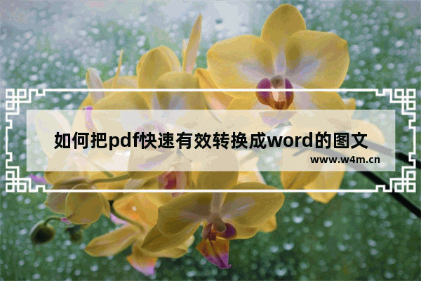 如何把pdf快速有效转换成word的图文教程