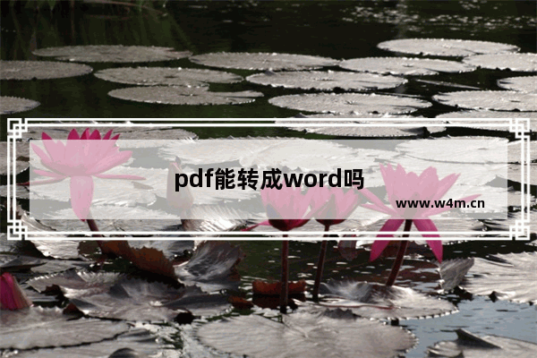 pdf能转成word吗