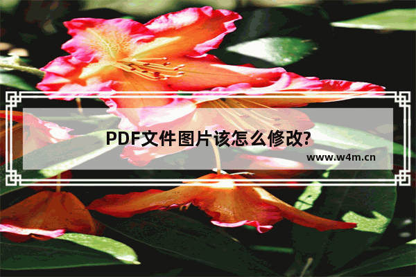 PDF文件图片该怎么修改?