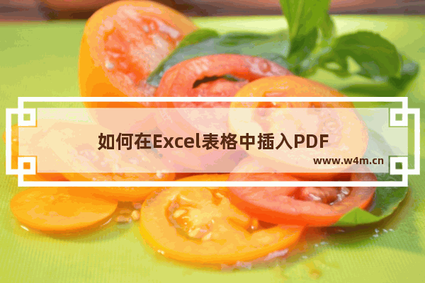 如何在Excel表格中插入PDF