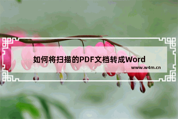 如何将扫描的PDF文档转成Word