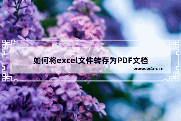 如何将excel文件转存为PDF文档