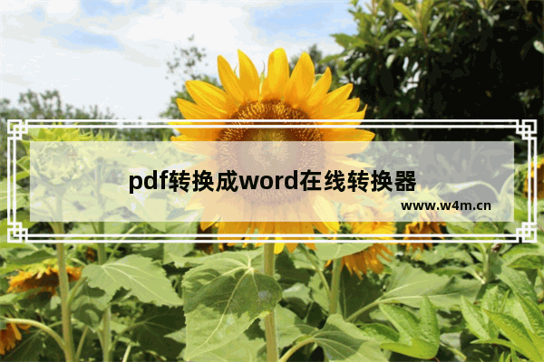 pdf转换成word在线转换器