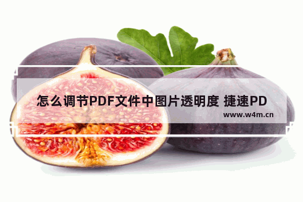 怎么调节PDF文件中图片透明度 捷速PDF编辑器来帮你