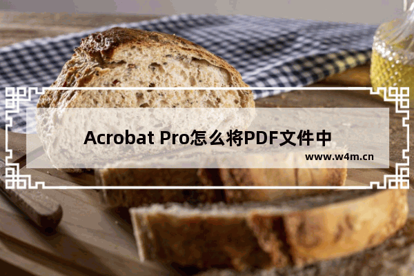 Acrobat Pro怎么将PDF文件中的文字全部转曲?