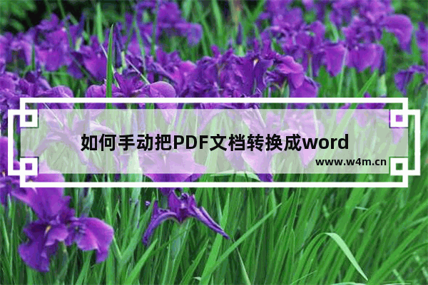 如何手动把PDF文档转换成word