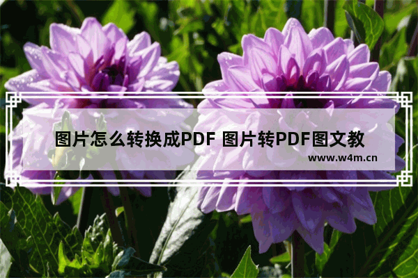 图片怎么转换成PDF 图片转PDF图文教程