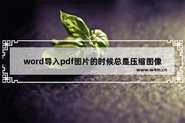 word导入pdf图片的时候总是压缩图像该怎么办?