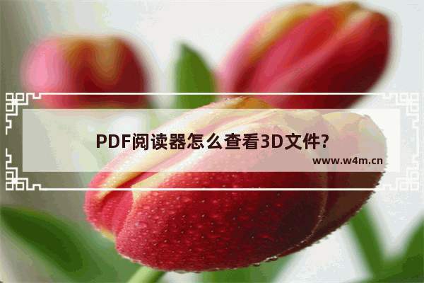 PDF阅读器怎么查看3D文件?