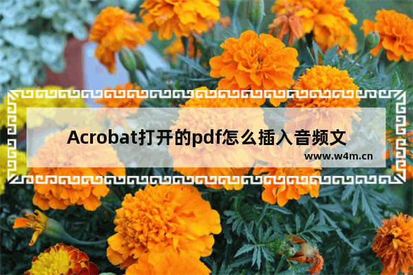 Acrobat打开的pdf怎么插入音频文件?