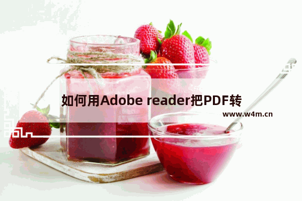 如何用Adobe reader把PDF转换成word文档