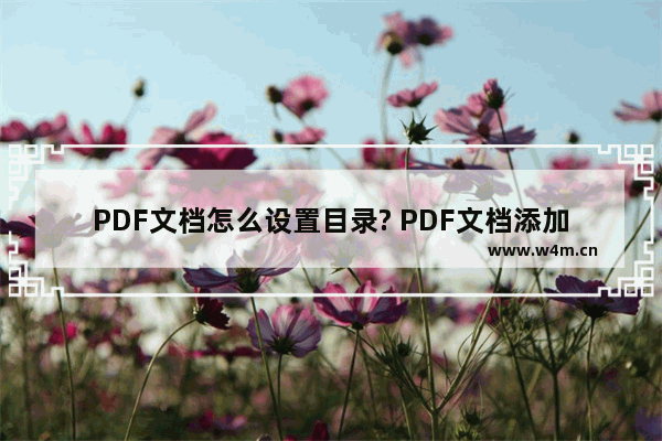 PDF文档怎么设置目录? PDF文档添加目录的教程