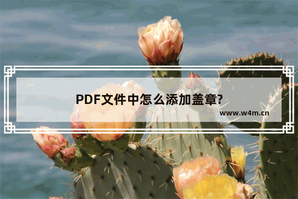 PDF文件中怎么添加盖章?