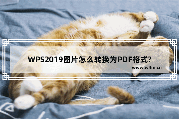 WPS2019图片怎么转换为PDF格式?