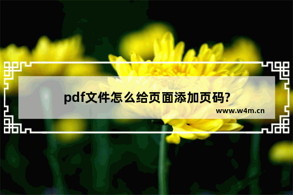 pdf文件怎么给页面添加页码?