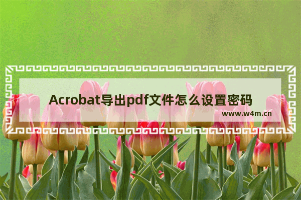 Acrobat导出pdf文件怎么设置密码?