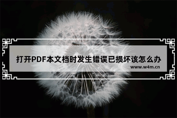 打开PDF本文档时发生错误已损坏该怎么办?