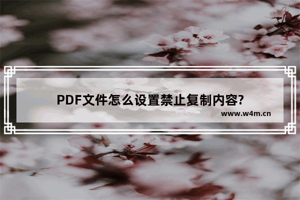 PDF文件怎么设置禁止复制内容?