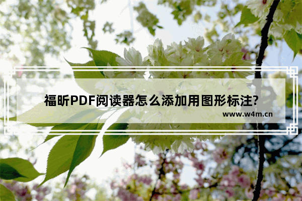 福昕PDF阅读器怎么添加用图形标注?