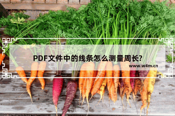 PDF文件中的线条怎么测量周长?