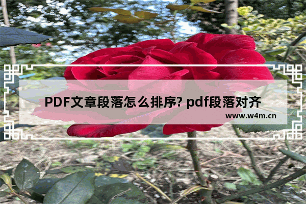 PDF文章段落怎么排序? pdf段落对齐的教程