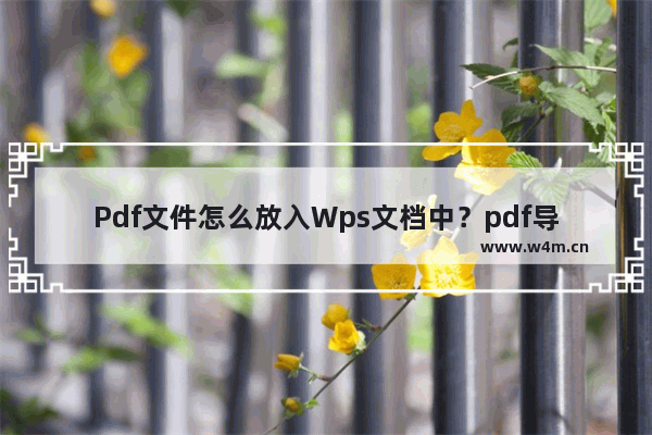 Pdf文件怎么放入Wps文档中？pdf导入wps的方法