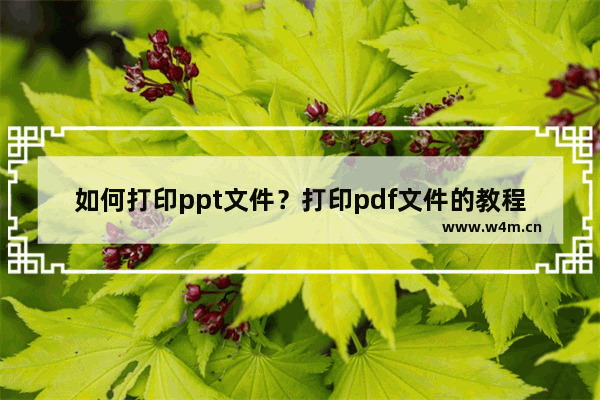 如何打印ppt文件？打印pdf文件的教程