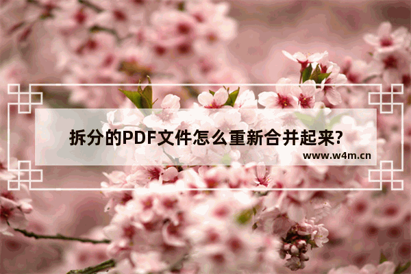 拆分的PDF文件怎么重新合并起来?