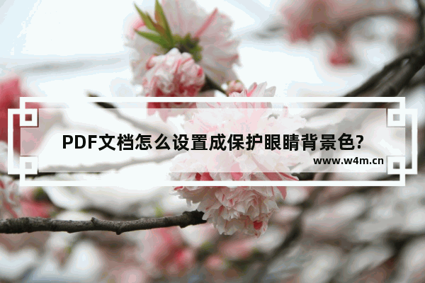 PDF文档怎么设置成保护眼睛背景色?