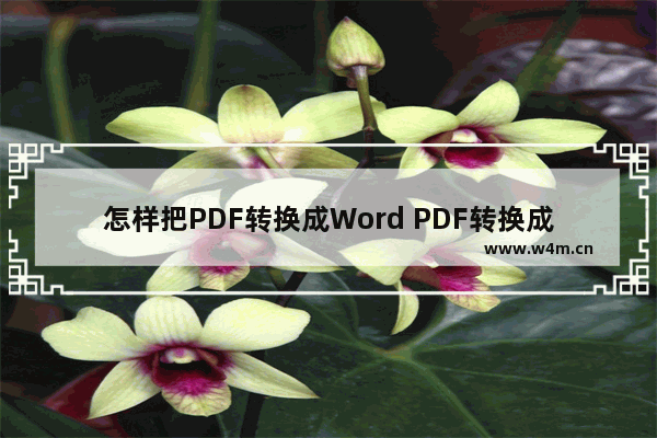 怎样把PDF转换成Word PDF转换成Word 格式的详细图文步骤