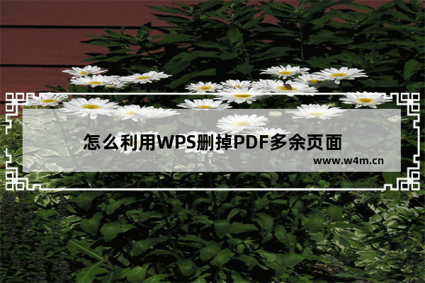 怎么利用WPS删掉PDF多余页面