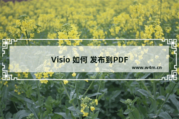 Visio 如何 发布到PDF